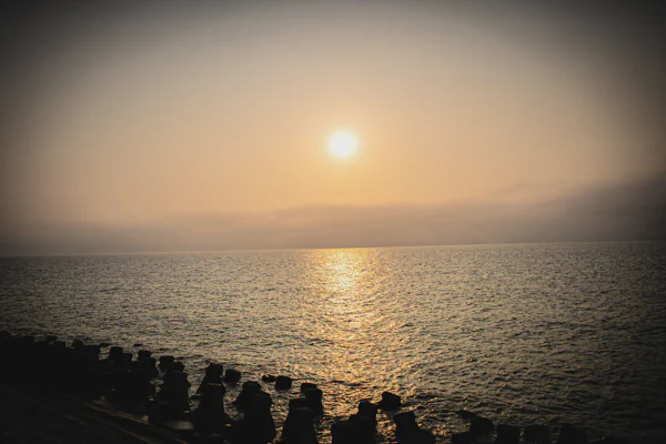 DSC02228.webp