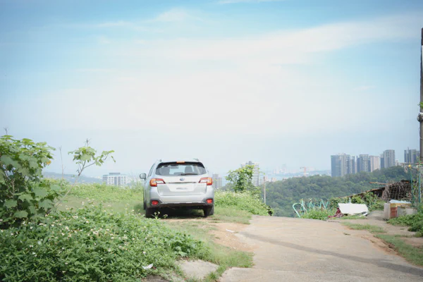 DSC02350.webp