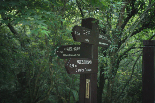 DSC02368.webp