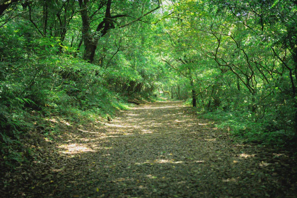 DSC02373.webp