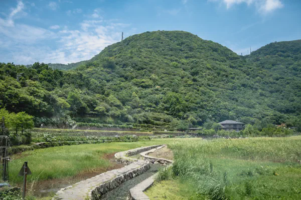 DSC02556.webp