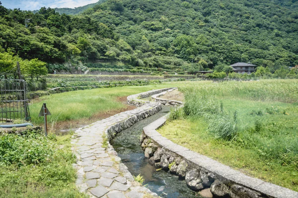DSC02559.webp