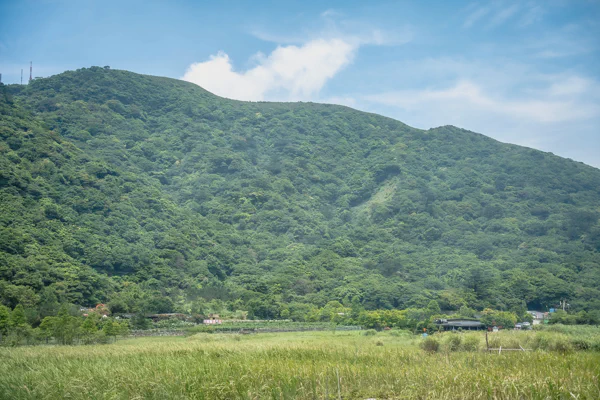 DSC02560.webp