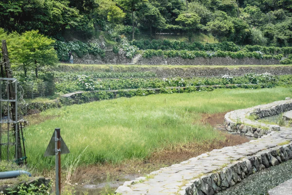 DSC02567.webp