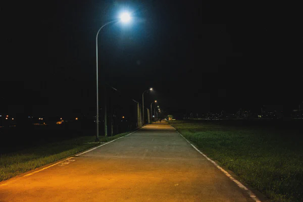 DSC02601.webp