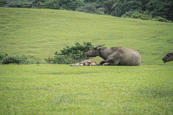 DSC02879.webp