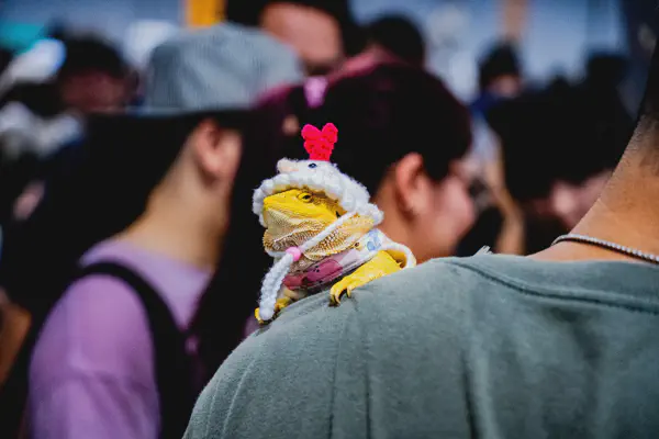 2024-06-22 Reptile Festival @ Taipei