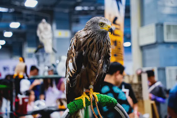 DSC02999.webp