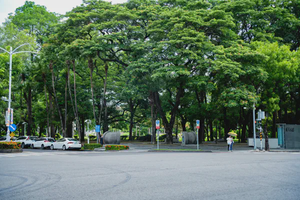 DSC03770.webp