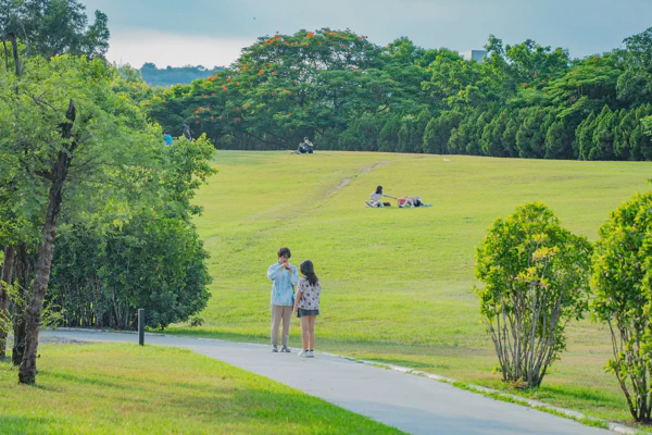 DSC03879.webp
