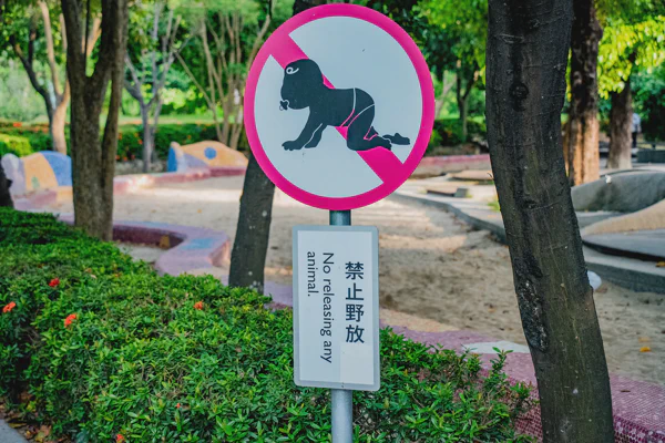 DSC03891.webp