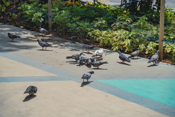 DSC04158.webp