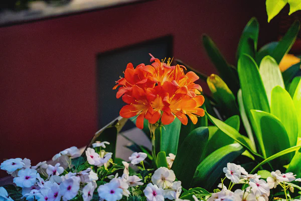 DSC04354.webp