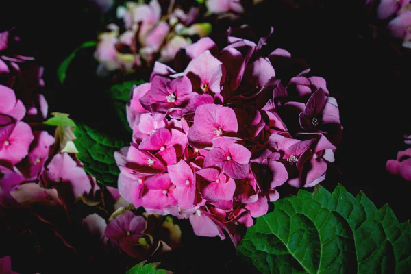 DSC04405.webp
