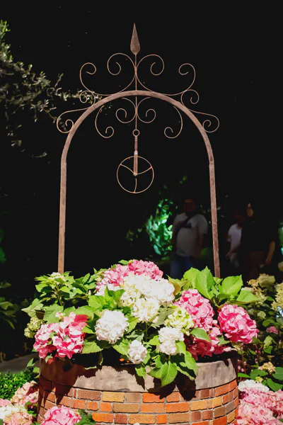 DSC04436.webp