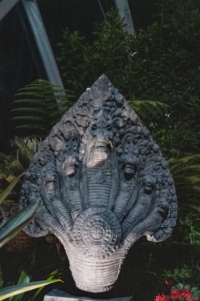 DSC04475.webp