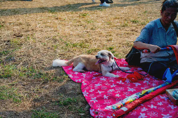 DSC05613.webp