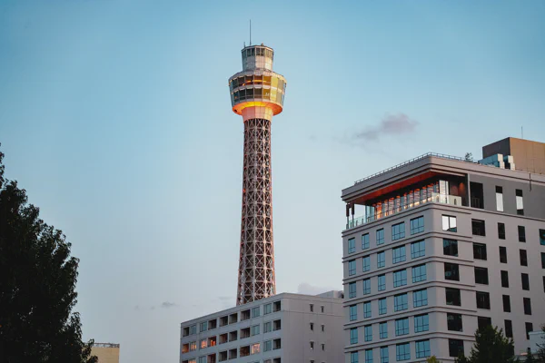 DSC06039.webp