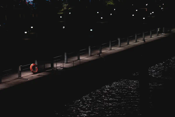 DSC06062.webp