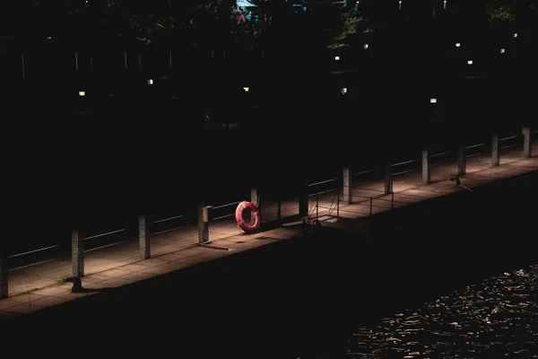 DSC06063.webp