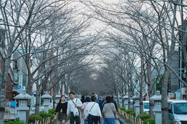 DSC06540.webp
