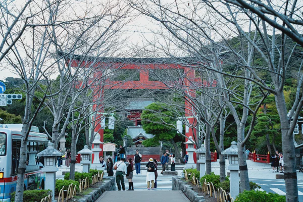DSC06541.webp