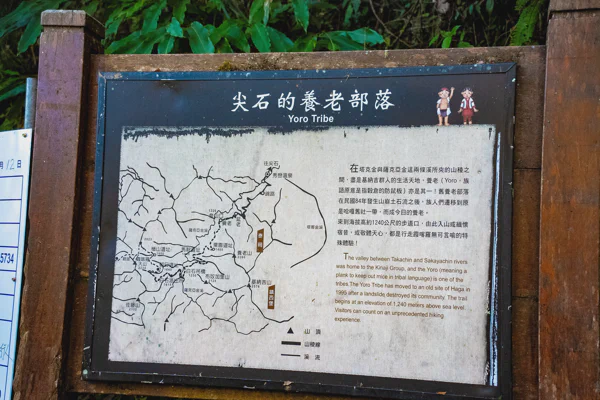 DSC07768.webp