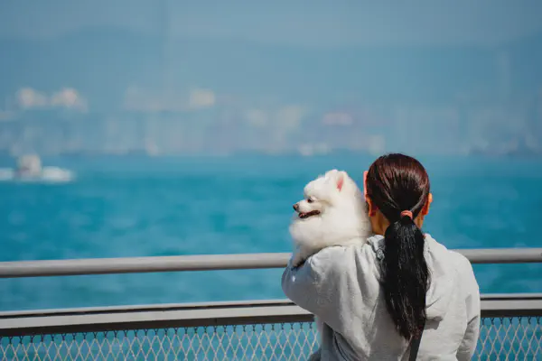 DSC08206.webp