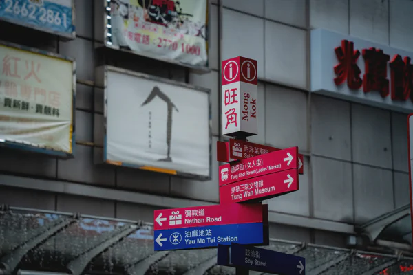DSC08540.webp