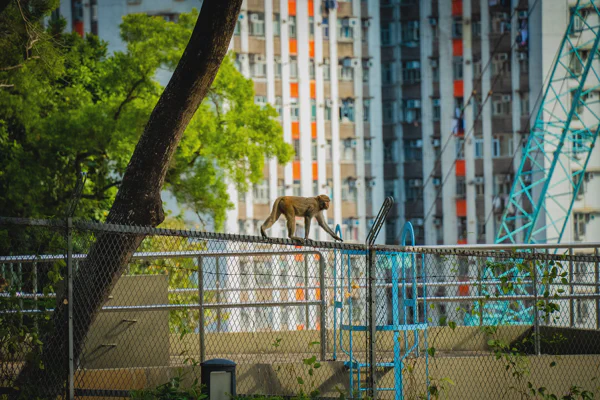 DSC08931.webp