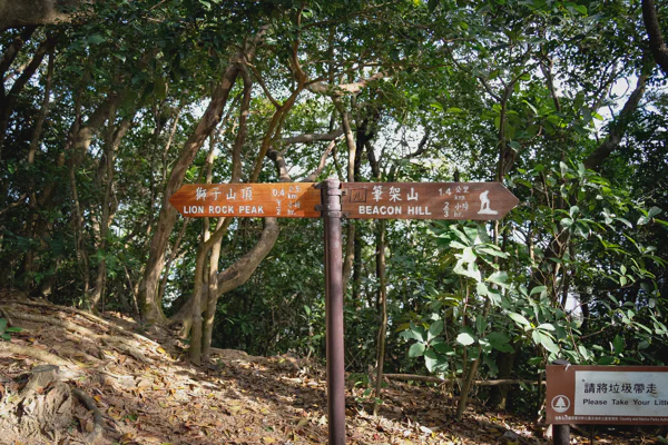 DSC08943.webp