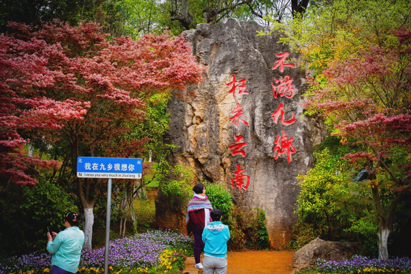 DSC09663.webp