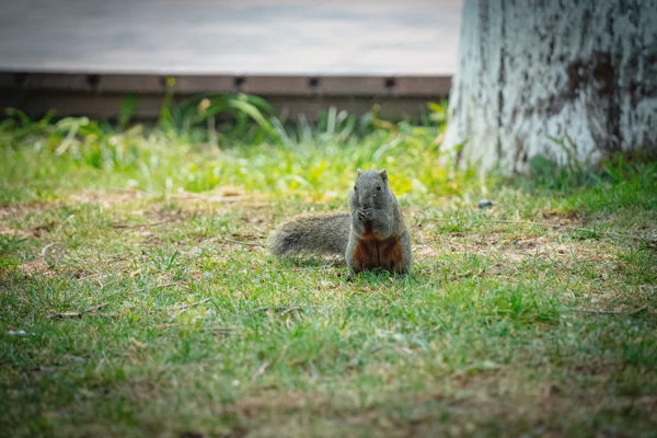 DSC10104.webp