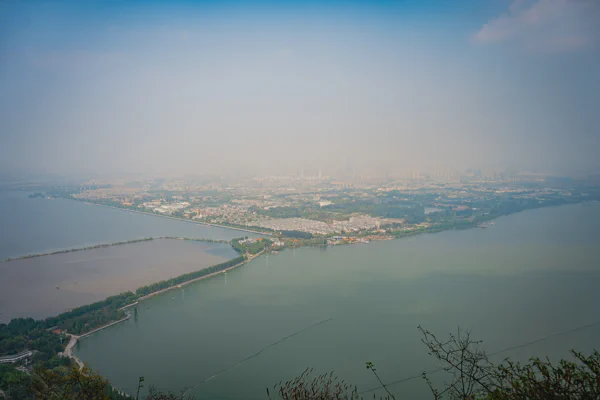 DSC10271.webp