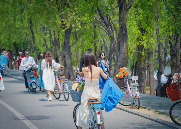 DSC10460.webp