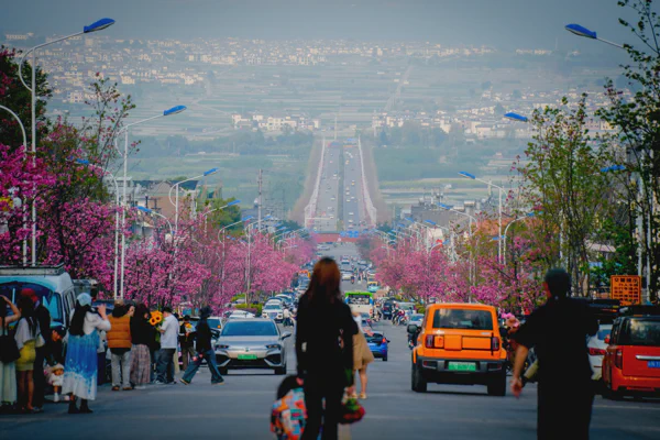DSC10815.webp