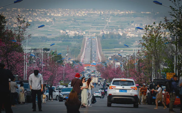 DSC10854.webp