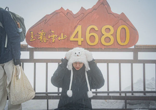 DSC11237.webp
