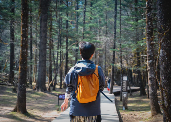 DSC11368.webp