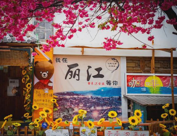 DSC11620.webp
