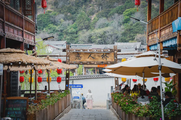 DSC11667.webp