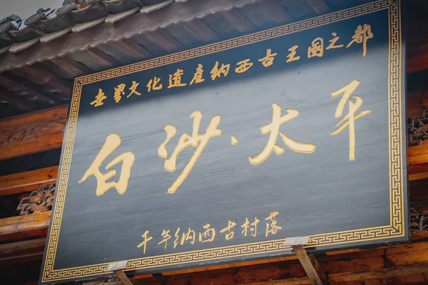 DSC11699.webp