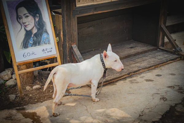 DSC11719.webp
