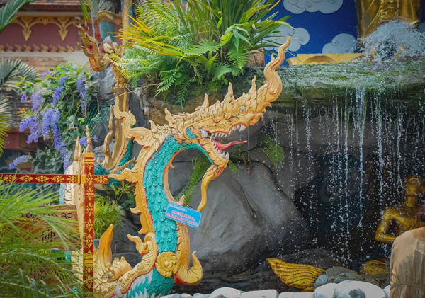 DSC11916.webp