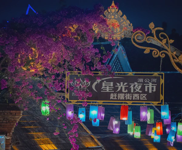 DSC12327.webp