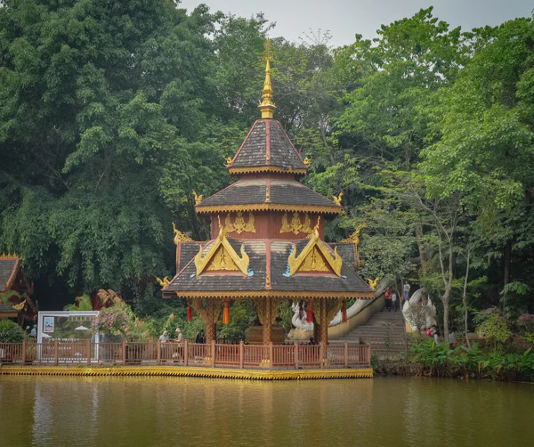 DSC13217.webp