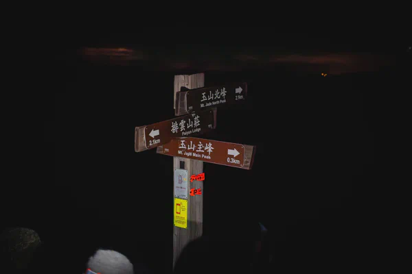 DSC01211-Enhanced-NR.webp