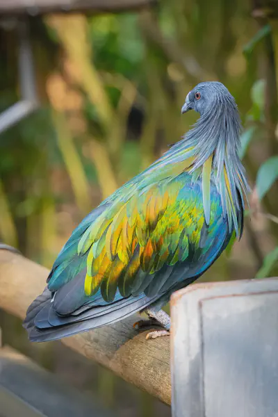 2026-02-14 @ Taipei Zoo