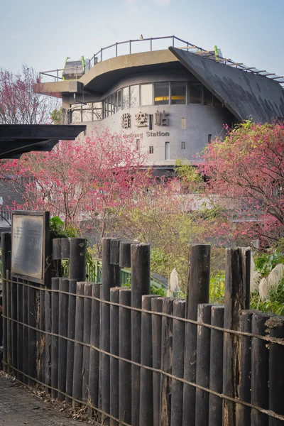 DSC07376.webp