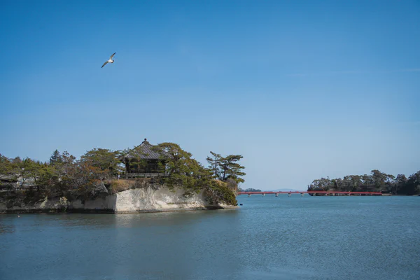 DSC08336.webp